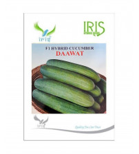 Cucumber / Kakri F1 Iris Dawat 20 grams